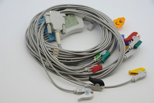 2021����늈D��|�͌����Ј���120�|